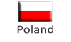 European Observatory on Information Literacy Policies and research - Poland